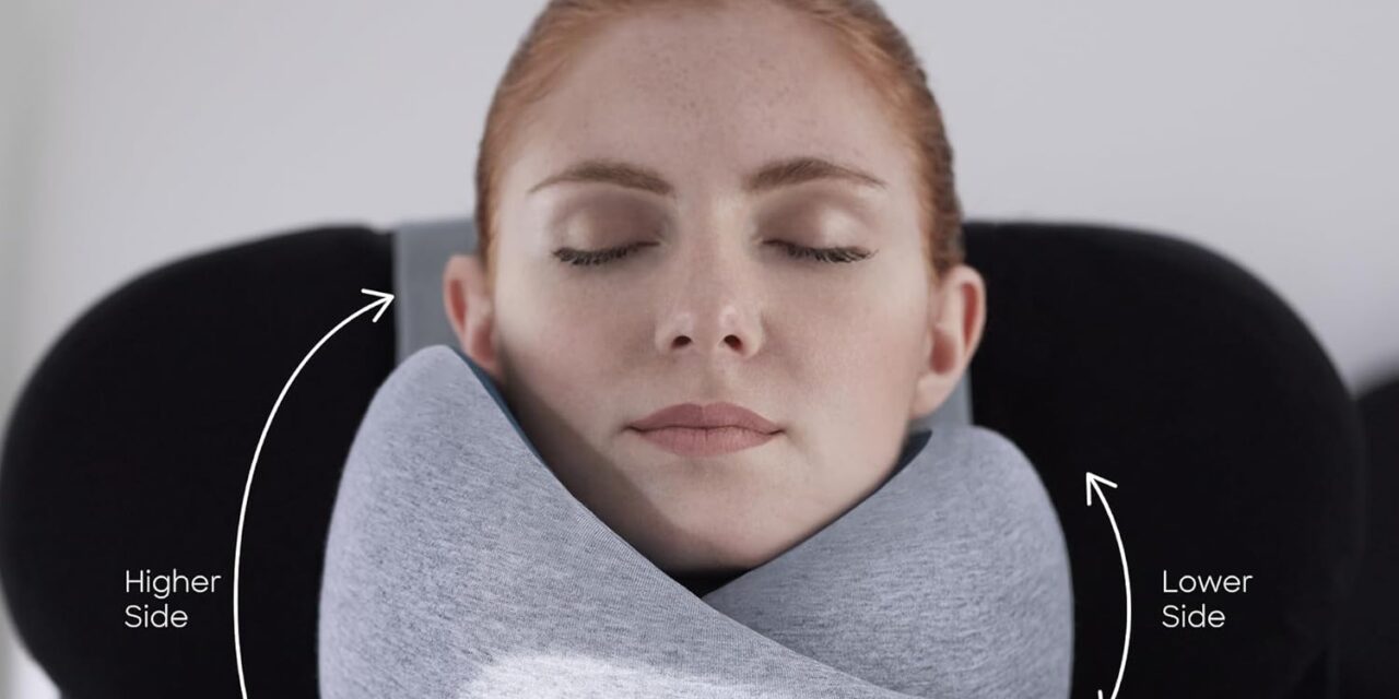 Ostrichpillow Go Neck Pillow