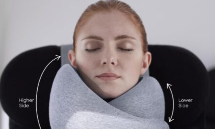 Ostrichpillow Go Neck Pillow